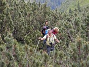 47 Ci si deve far strada nella 'foresta' di pini mugo